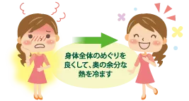 身体全体のめぐりを良くして、奥の余分な熱を冷ます